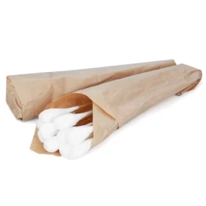 Medical Ozone Sterilized Big Head Cotton Swab 25cm 100 Packs in Paper Bag YY300 Certified Class I JML-03