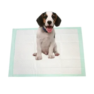 Medical Supplies High Absorbent Incontinence Pads Hospital Medical Inconvenient Bed Pet 60 X 90 Waterproof Disposable Underpad