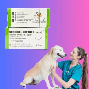 Medical Supplies Suture with Needle Pet Absorbable Suture Kit PGA pdo silk nylon catgut Sterile Surgical Suture