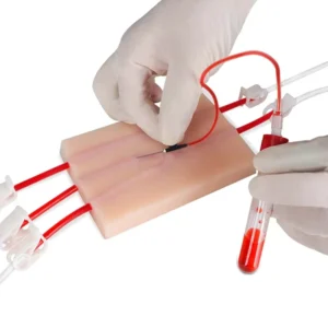 Medical Supplies Training Intravenous Infusion Puncture Needle Injection Nursing Training Vascular Venous Puncture Practice Sets