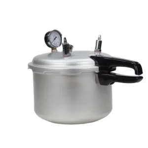 Mini Portable Autoclave Sterilizer for Lab and Home and Hospital