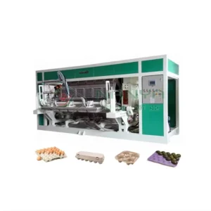 Molded Paper Trays Egg Carton Packaging Disposable Egg Carton Making Machine
