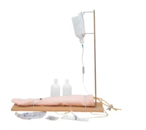 Multi Functional Clinical Nursing Infusion Arm Model with Base for Medical Science