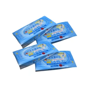 New Design Moisture Proof Gravure Printed Side Gusset Plastic Mylar Wet Wipes Tampon Diapers Liquid Soap Toilet Paper Packaging