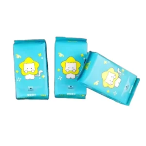 OEM Factory’s Mini Portable Eco friendly Antibacterial Extra Soft Packaging Custom Logo 6pcs Pet Wet Wipesfor Full Body Cleaning