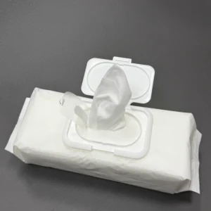 OEM Multi Purpose Anti Bacterial Wipes HOCI Hypochlorous Acid Disfectant Wipes