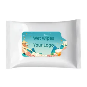 OEM Wet Wipes 1 Pack 10pcs 20pcs 30pcs Custom Logo Baby Wet Wipes 40pcs Household Daily Cleaning