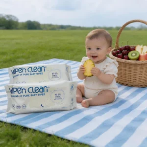Organic Baby Wet Wipe Manufacturer Ultra Safe Formula Cleaning Wipes for Baby