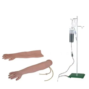 PVC Human Venipuncture Intramuscular Injection Arm Model Medical Phlebotomy Practice Kit Nursing Skill Training School Manikins