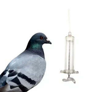 Plastic Baby Bird Syringe Veterinary Injection Feeding Bird Needle Veterinary Animal Parrot Curved Syringe