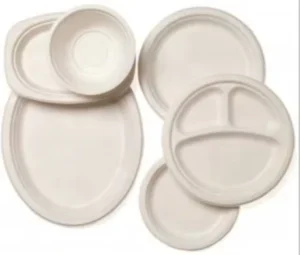Pulp Mold Making Machine Egg Carton Machinery Equipments Biodegradable Sugarcane Pulp Plate Making Machine