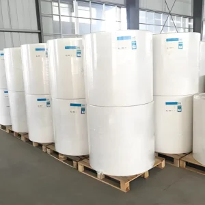 SGS Approved Thermal Base Paper Anti Fade Coating Logistics Label Roll for Medical Recording
