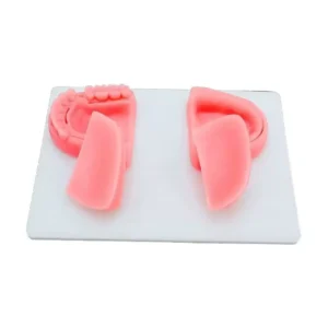 Silicone Dental Training Suture Pad Gum Model HZMIM Brand HZ0303 for Medical Institutions