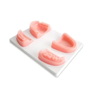 Silicone Human Dental Suture Pad for Medical Science for Suture Practice