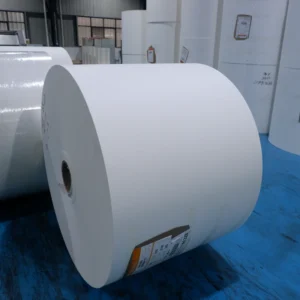 Single Sided PE Coated Paper Roll for Coffee and Tea Cups for Beverage Industry Use