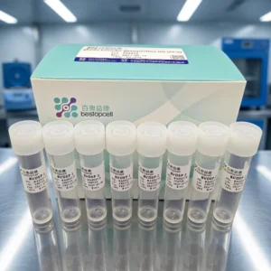 Vascular Tissue Dissociation Kit for Single Cell Sequencing High Yield Endothelial Cell Prep