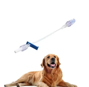 Veterinary Needle Free Infusion Device Sterile Disposable for Dog Cat Horse Livestock IV Fluid and Vaccine Delivery