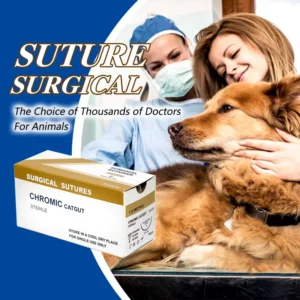 Veterinary Surgical Suture Absorbable PGA PGLA910 PDO With Needle EO Sterile for Dog Cat Livestock Animal Surgery