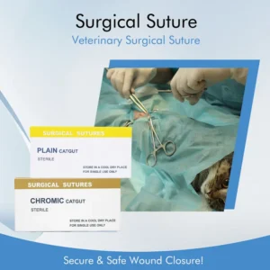 Veterinary Surgical Suture Non Absorbable Nylon Polypropylene Silk Thread USP 2-0 3-0 75cm for Pet Wound Closure