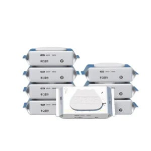 Wet Wipes 60pcs Custom OEM ODM Eco-Friendly Cleaning Disposable Household Non-Woven Water Tissue Daily Use